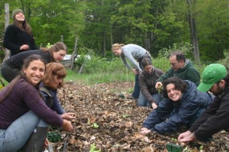 Alternative Currency Image